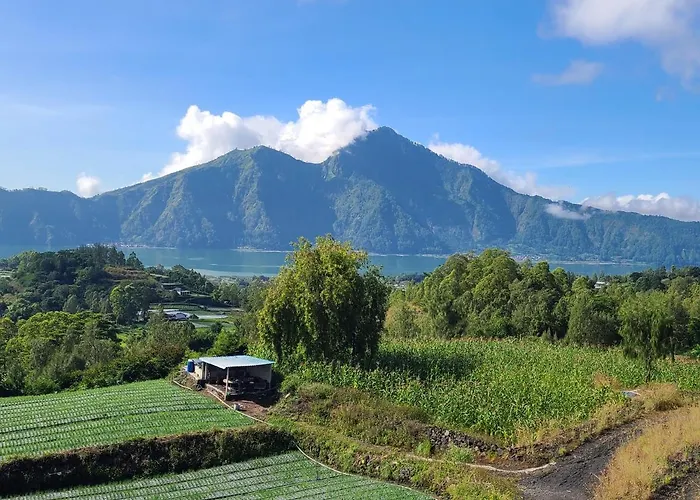 Batur View ベッド・アンド・ブレックファスト 3*